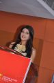 Pranitha at Saguni Movie Success Meet Stills