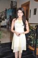 Actress Pranitha at Saguni Movie Success Meet Stills
