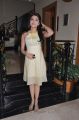 Actress Pranitha at Saguni Success Meet Stills