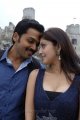 Karthi Pranitha in Saguni New Stills