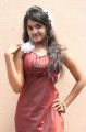 Tamil Actress Shahana Hot Photoshoot Stills