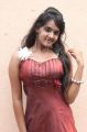 Tamil Actress Sahana Hot Stills