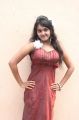 Tamil Actress Shahana Hot Stills