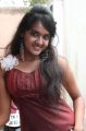 Tamil Actress Sahana Hot Stills