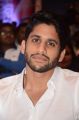 Naga Chaitanya @ Sahasam Swasaga Sagipo Audio Launch Stills