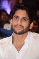 Naga Chaitanya @ Sahasam Swasaga Sagipo Audio Launch Stills