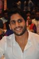 Naga Chaitanya @ Sahasam Swasaga Sagipo Audio Launch Stills