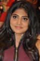 Actress Manjima Mohan @ Sahasam Swasaga Sagipo Audio Launch Stills