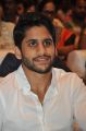 Naga Chaitanya @ Sahasam Swasaga Sagipo Audio Launch Stills