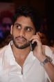 Naga Chaitanya @ Sahasam Swasaga Sagipo Audio Launch Stills