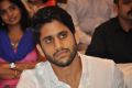 Naga Chaitanya @ Sahasam Swasaga Sagipo Audio Launch Stills