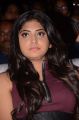 Manjima Mohan @ Sahasam Swasaga Sagipo Audio Release Function Photos