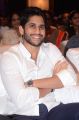 Naga Chaitanya @ Sahasam Swasaga Sagipo Audio Release Function Photos