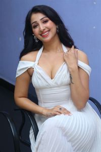 Actress Sahiba Bhasin Stills @ Average Student Nani Movie Teaser Launch