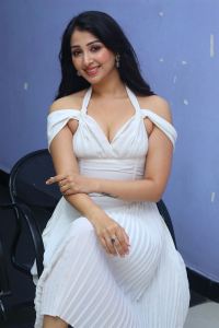 Average Student Nani Heroine Sahiba Bhasin Stills