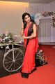 Actress Sai Akshatha Hot Red Saree & Sleeveless Black Blouse Pics