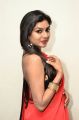 Actress Sai Akshatha Hot Red Saree Pics