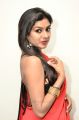 Actress Akshita Reddy Red Saree Hot Pics