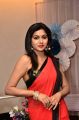 Actress Akshita Reddy Hot Pics in Red Saree