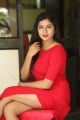 Actress Akshitha Pics @ Special Success Meet