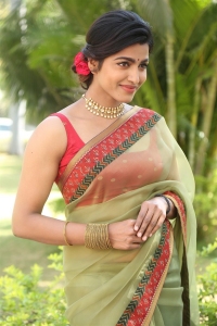 Shikaru Movie Heroine Sai Dhanshika Saree Pics