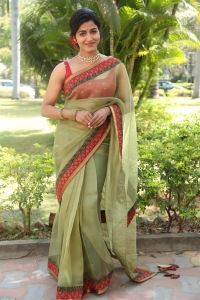 Shikaru Movie Actress Sai Dhanshika Saree Pics