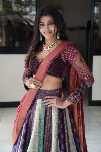 Actress Sai Dhansika Photos @ Shikaru Press Meet