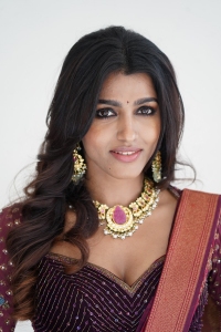 Actress Sai Dhansika Photos @ Shikaru Press Meet