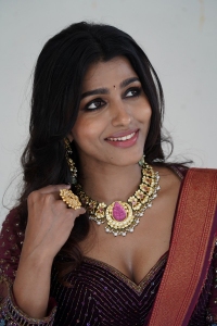 Shikaaru Movie Actress Sai Dhansika New Photos