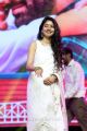 Actress Sai Pallavi Saree Photos @ Padi Padi Leche Manasu Pre Release Event