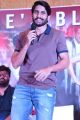 Actor Naga Chaitanya @ Sailaja Reddy Alludu Blockbuster Press Meet Stills