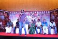 Shailaja Reddy Alludu Blockbuster Press Meet Stills