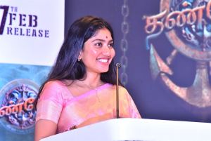 Thandel Movie Actress Sai Pallavi Saree Stills