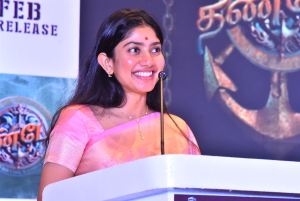 Thandel Movie Actress Sai Pallavi Saree Stills