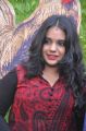 Singer Saindhavi @ Saivam Movie Audio Launch Stills