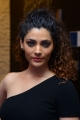 Actress Saiyami Kher Photos @ Wild Dog Press Meet