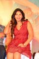 Actress Anjali @ Sakalakala Vallavan Appatakkar Movie Press Meet Stills