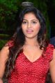 Actress Anjali @ Sakalakala Vallavan Appatakkar Movie Press Meet Stills