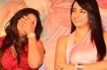 Anjali, Trisha @ Sakalakala Vallavan Appatakkar Movie Press Meet Stills