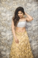 Actress Sakshi Agarwal Saree Photoshoot Images