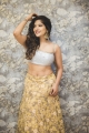 Actress Sakshi Agarwal Saree Photoshoot Images