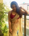 Actress Sakshi Agarwal Saree New Photoshoot Images