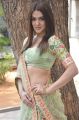 Telugu Actress Sakshi Chowdary Hot Images HD