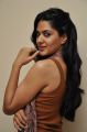 Actress Sakshi Chowdary Photos @ James Bond Movie Interview