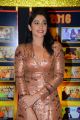 Actress Regina Cassandra @ Sakshi Excellence Awards Red Carpet Photos