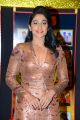 Actress Regina Cassandra @ Sakshi Excellence Awards Red Carpet Photos