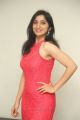 Telugu Actress Sakshi Kakkar Hot Stills in Red Dress