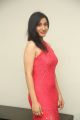 Telugu Heroine Sakshi Kakkar Red Dress Stills