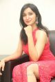 Telugu Actress Sakshi Kakkar in Red Dress Stills