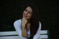 Salim Movie Heroine Aksha Pardasany Photos